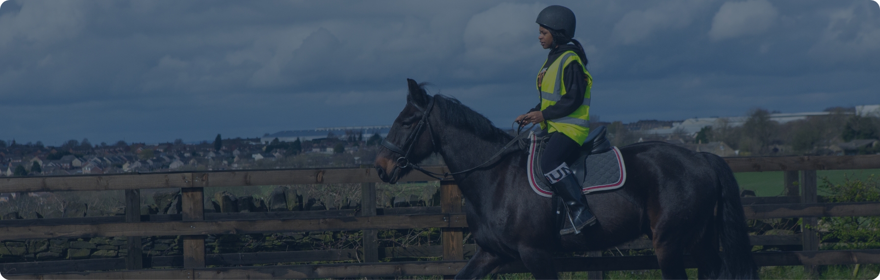 Guide Your Future Decisions